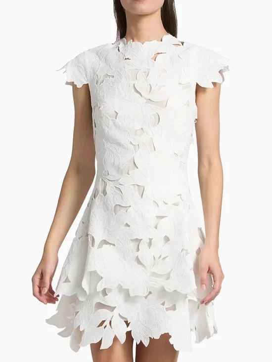 Simkhai Holloway embroidered lace mini dress - Picture 4 of 8